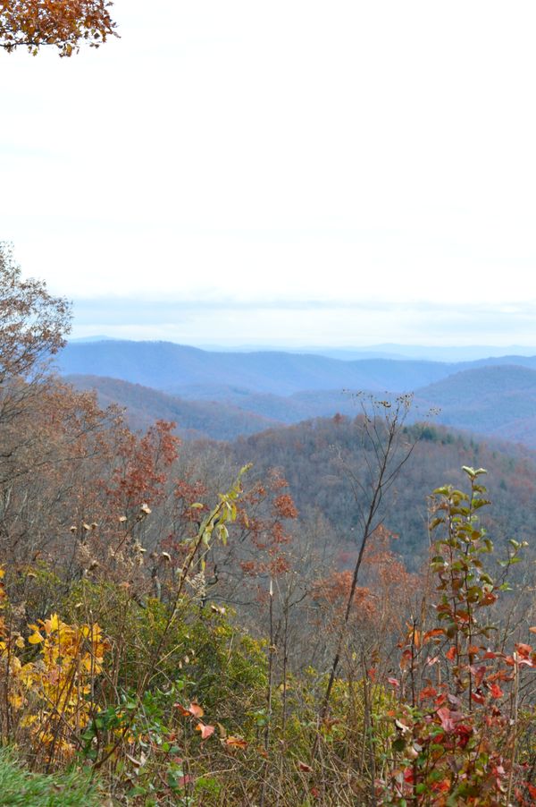 Beautiful Blueridge thumbnail