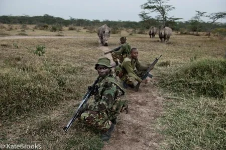 Only 5 Northern White Rhinos remain. A powerful image of three of them under guard by Kate Brooks.