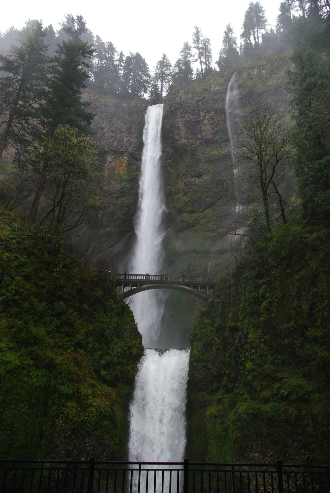 Multnomah Falls | Smithsonian Photo Contest | Smithsonian Magazine