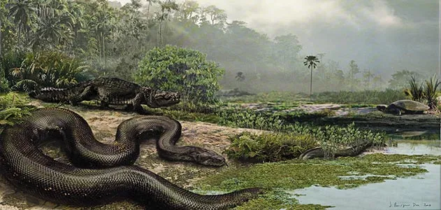 The worlds largest snake