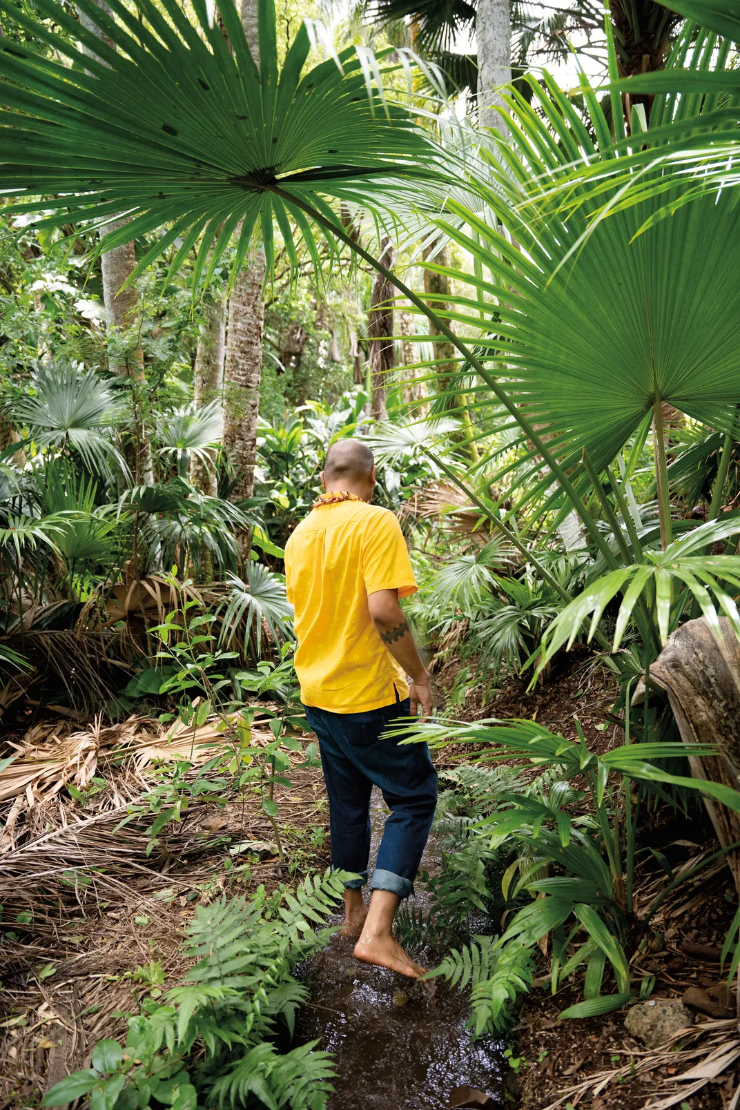 a man wearing a yellow shirt and blued jeans walks in a tropical setting barefoot