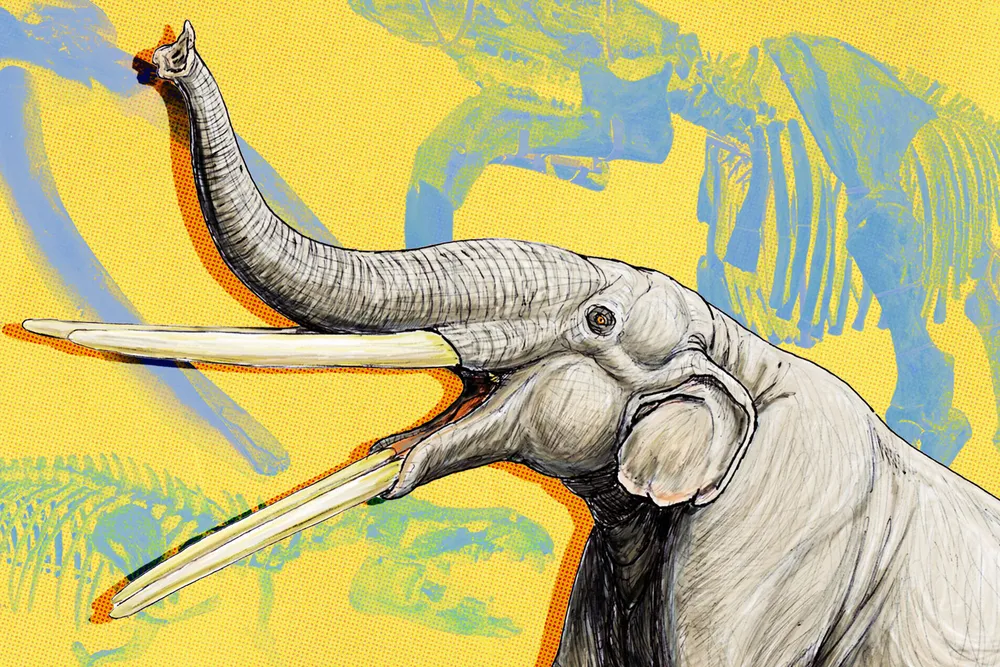 Ancient Elephant Illustration With Fossils