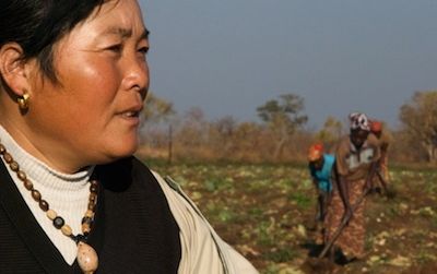 The sister-in-law of a Chinese farm owner in Zambia. China’s growing presence in Africa is documented in the 2010 film “When China Met Africa,” showing on Wednesday at the Freer Gallery.