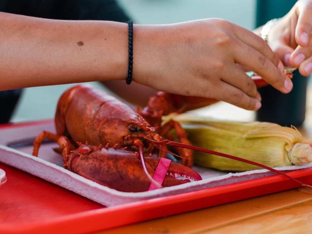 Lobster and corn on a tray