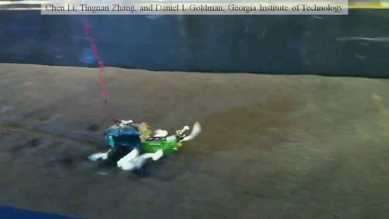 Preview thumbnail for Lizard-Inspired Running Robot