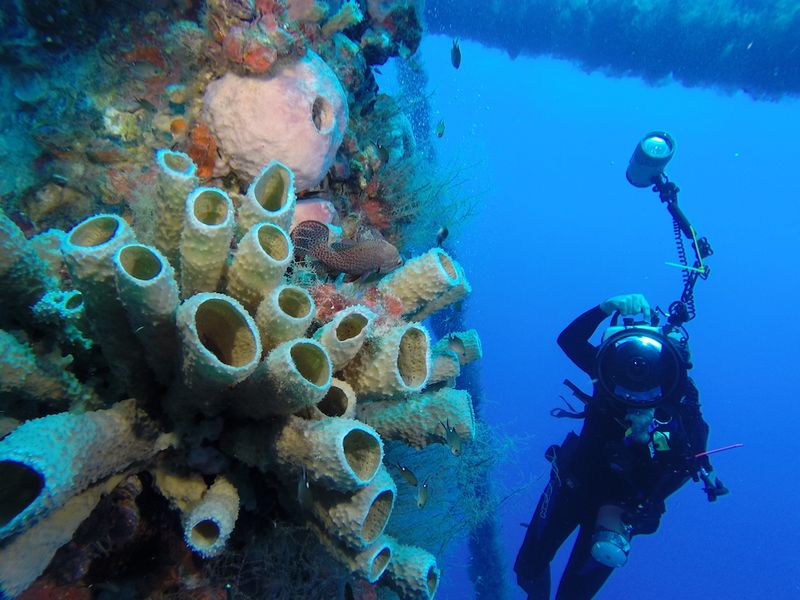 The Gulf of Mexico's Hottest Diving Spots Are Decommissioned Oil Rigs, Travel