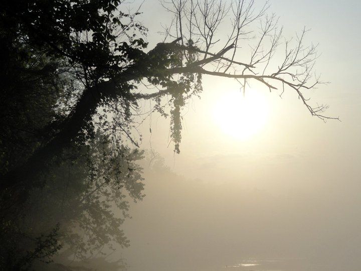 Sun Shining through the Fog | Smithsonian Photo Contest | Smithsonian ...