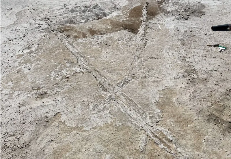 Etchings into sandy ground