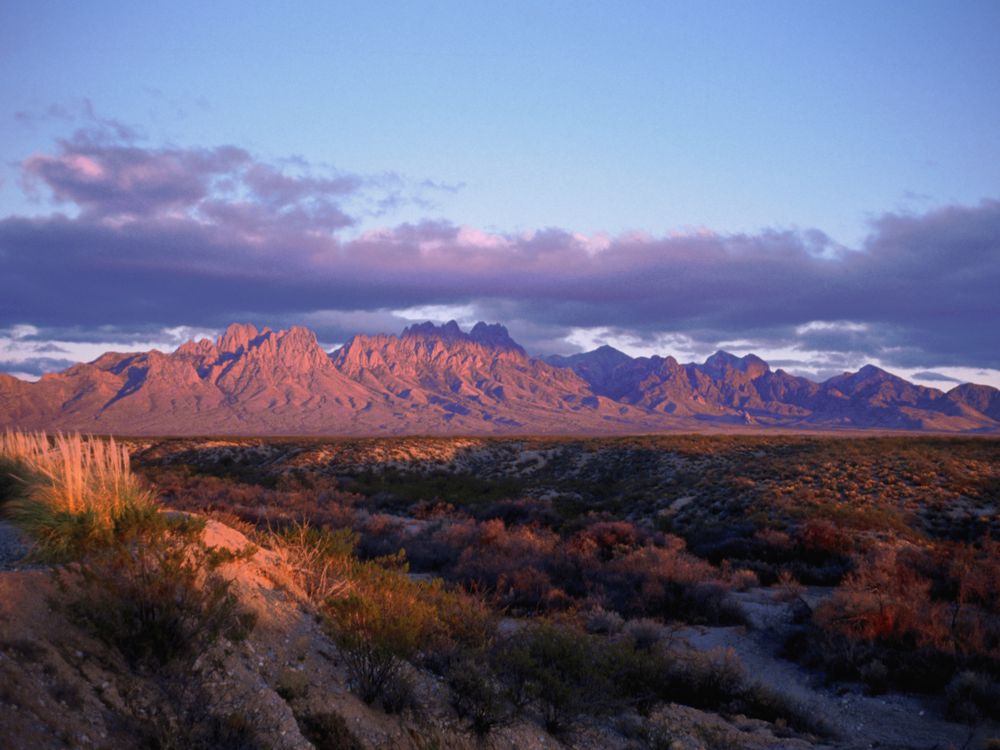 Organ Mountains