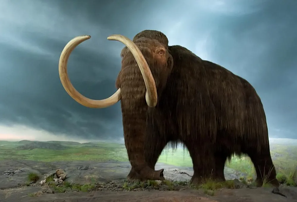 Woolly Mammoth