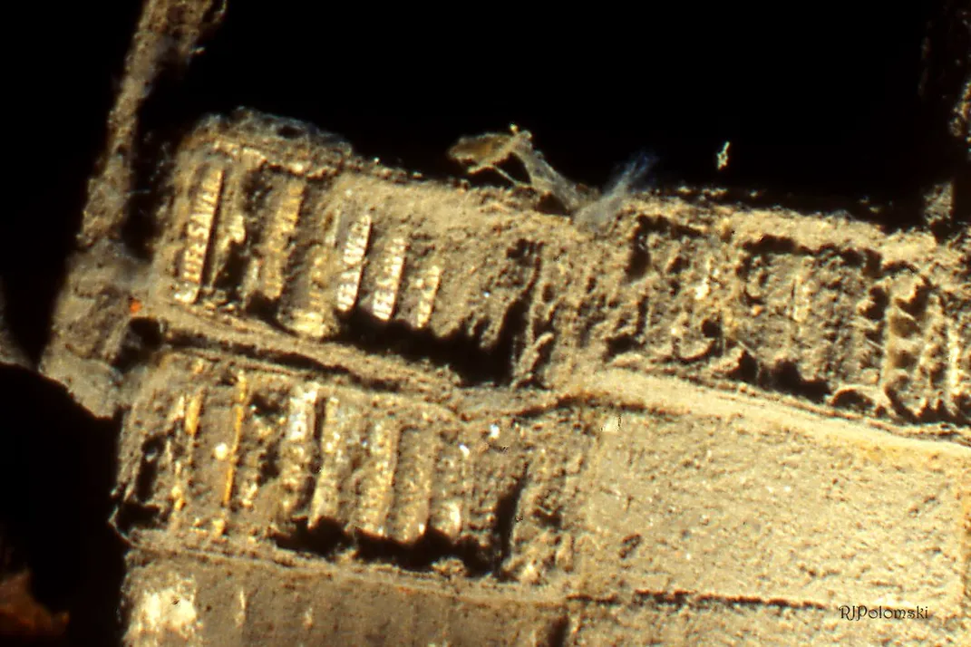 Lifesavers still in the cargo hold of the sunken SS Kamloops