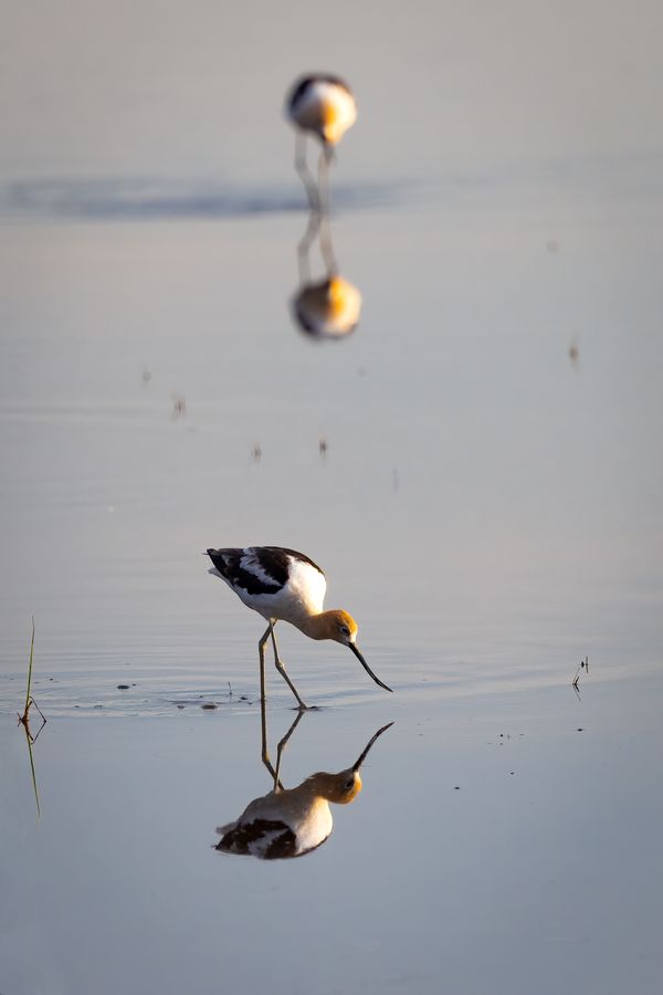 Walking on a mirror thumbnail