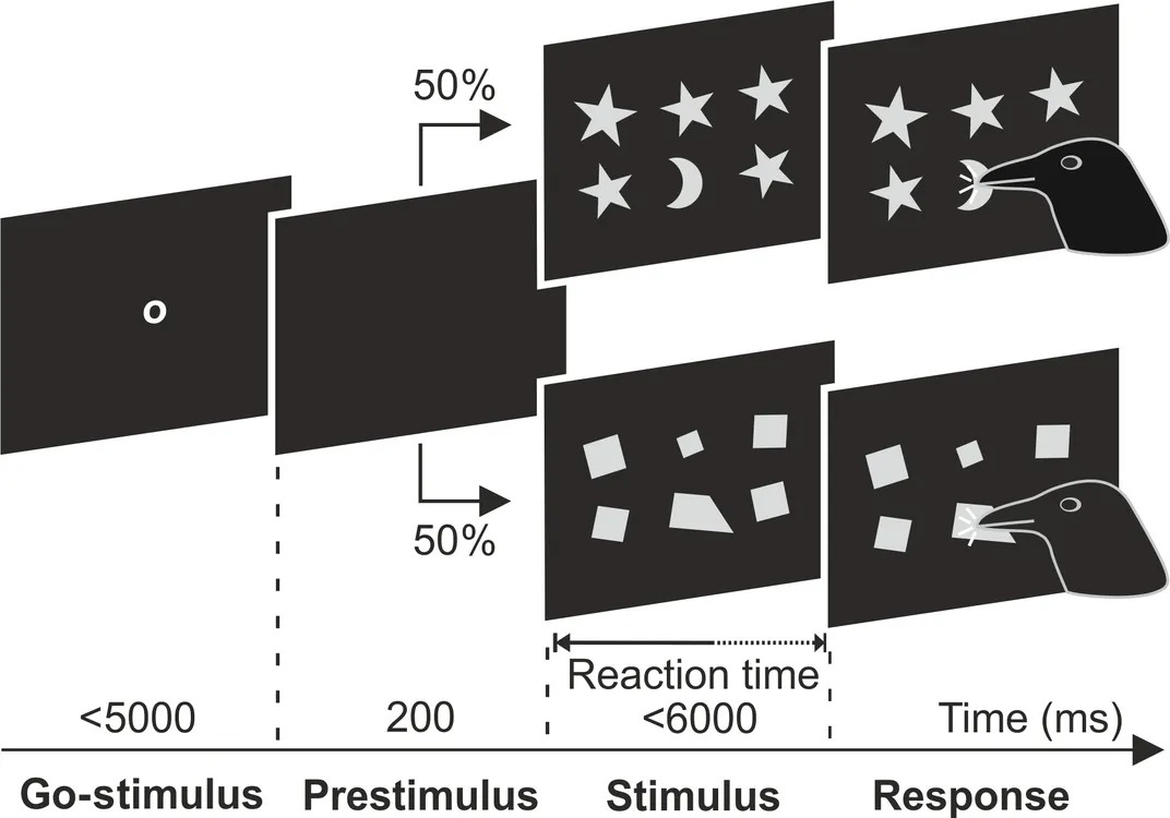 Illustration of bird facing screen with shapes on it