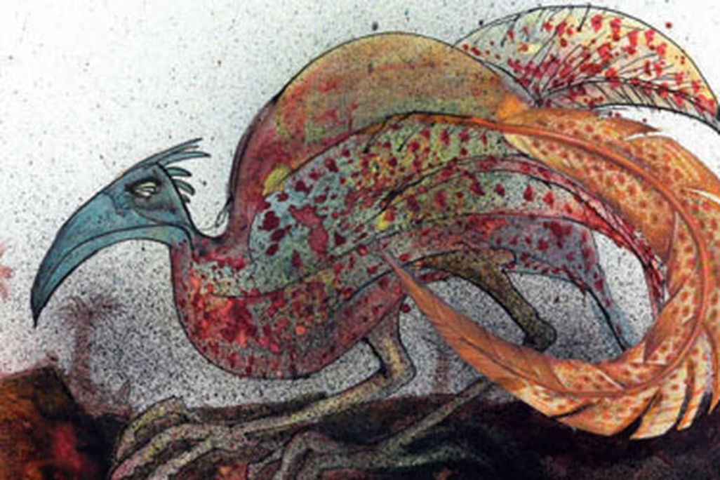 Double-banded Argus, by Ralph Steadman
