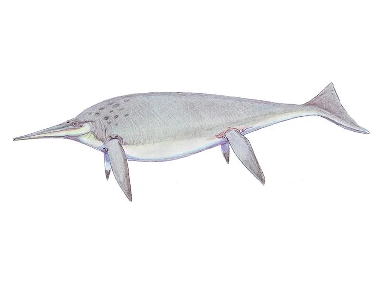 ichthyosaur.jpg