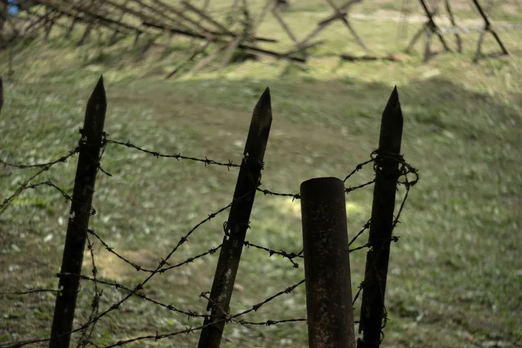 barbwire.jpg