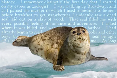 By age 11, Theodore Roosevelt boasted that he had 1,000 scientific specimens in the collections of his Roosevelt Museum of Natural History.