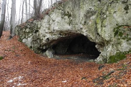 Maszycka Cave in southern Poland, where archaeologists unearthed 18,000-year-old bones that show evidence of human manipulation