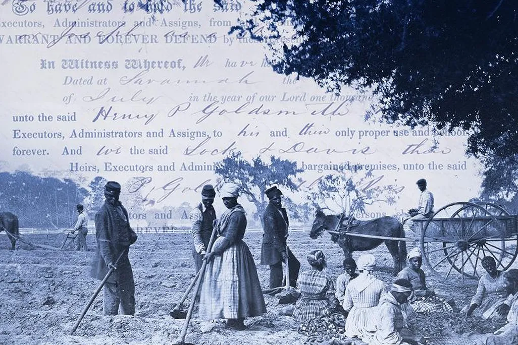 Enslaved people planting sweet potatoes