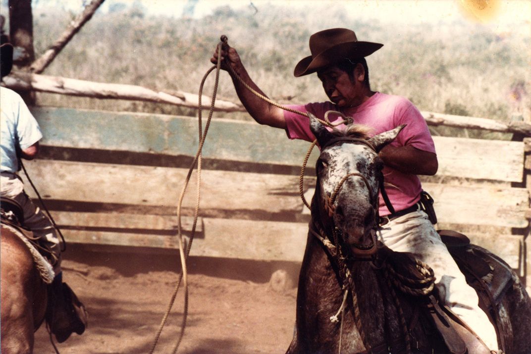 A man in cowboy hat and pink shirts sit atop a horse. The horse's face is contorted. 