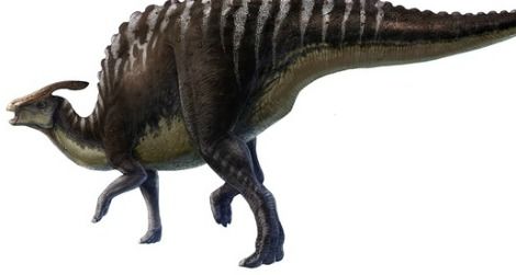 A restoration of Saurolophus angustirostris based upon skeletal and soft-tissue fossils