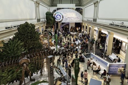 Visitors enter the Smithsonian’s new fossil hall for the first on June 8 when it reopened after being closed for a five-year renovation. (Smithsonian Institution)