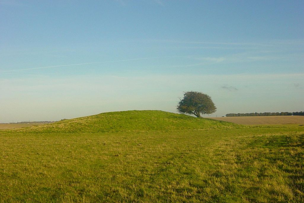 Bush Barrow
