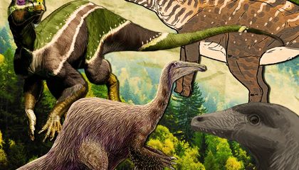 How Many Dinosaurs Remain Undiscovered?