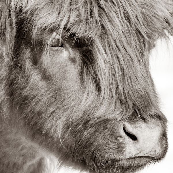 Thoughtful thumbnail