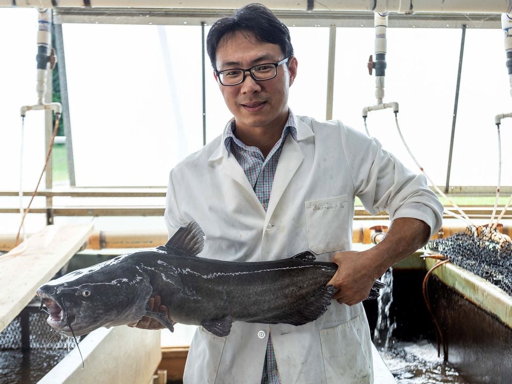 Researcher in white lab coat holds up a catfish