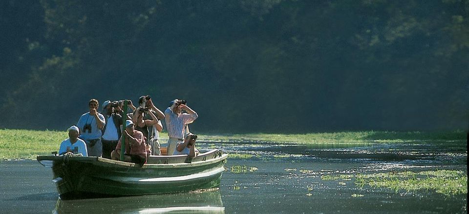  Boat excursions accompanied by expert naturalists allow a close-up look at wildlife 
