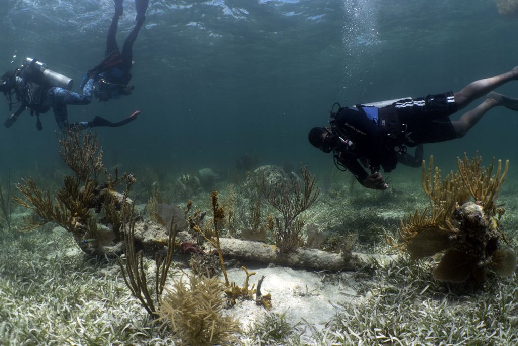 Divers examine an iron anchor believed to come from the British antislavery patrol ship H.M.S. Nimble, which ran afoul of the Florida Keys' sharp reefs in 1827 while chasing the illegal Spanish slaver the Guerrero.