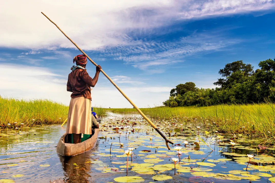 In the Okavango Delta, Botswana