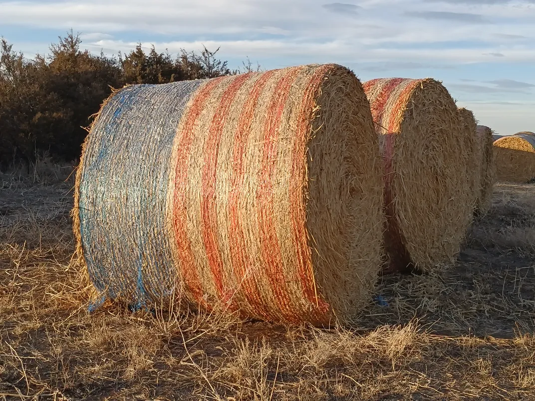 13 - Bales of hay display wrapped in glory sit in a Colorado field during harvest season.