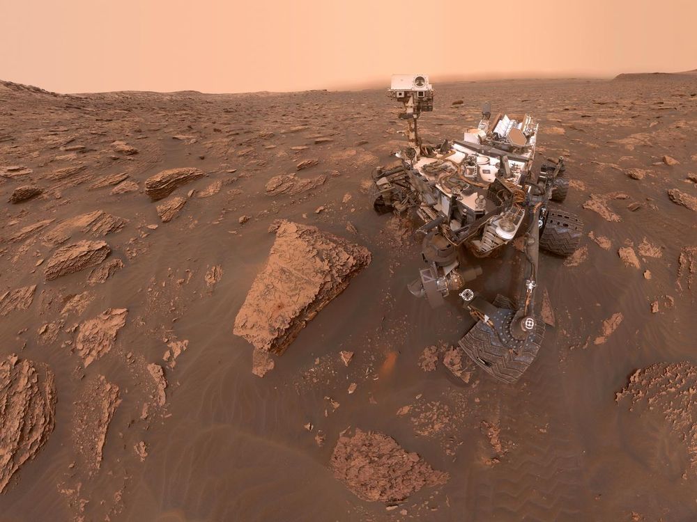 Curiosity selfie