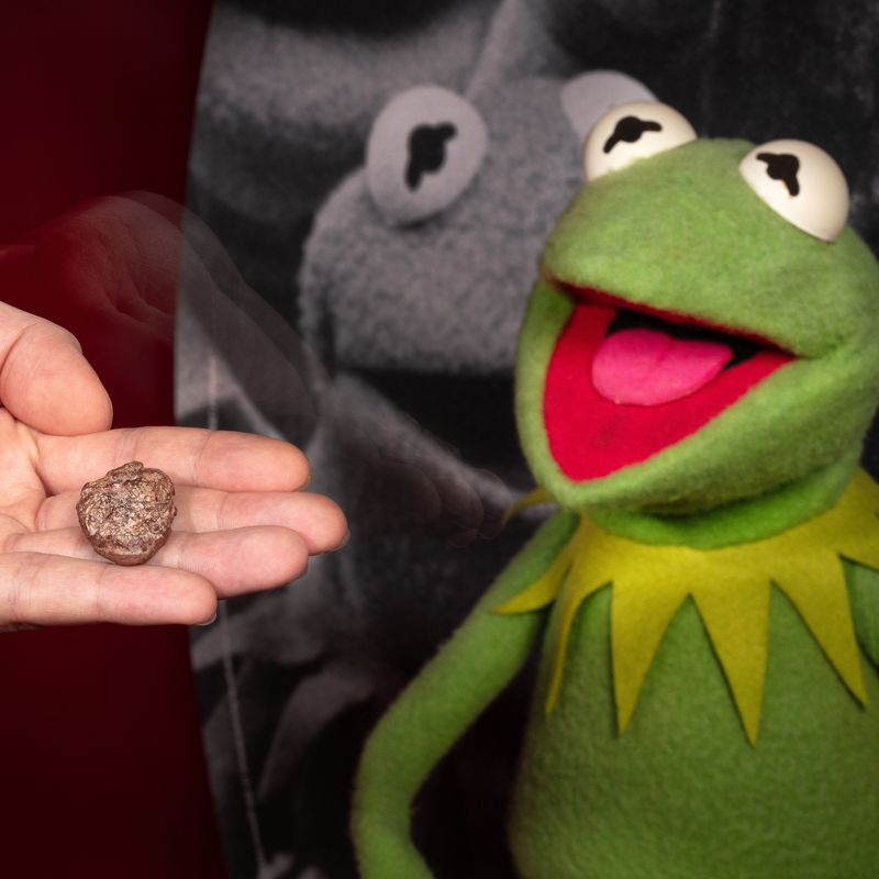 Kermit The Frog Song Kermit The Frog Sings Snoop Dogg's 'Gin And