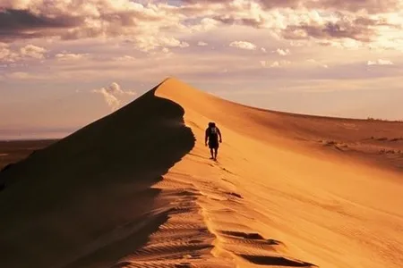 Athabasca Sand Dunes Provincial Park