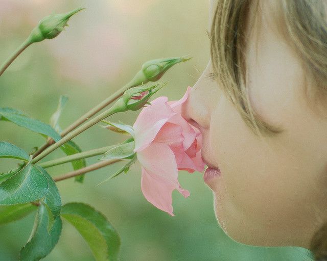 smelling roses