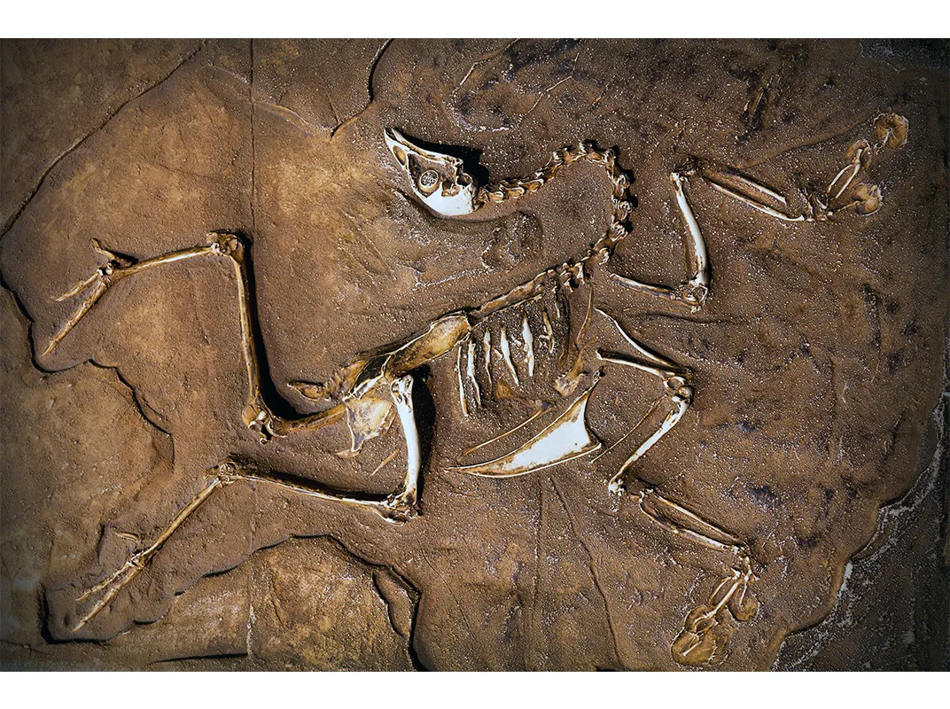 What Makes a Dinosaur a Dinosaur? | Science| Smithsonian Magazine