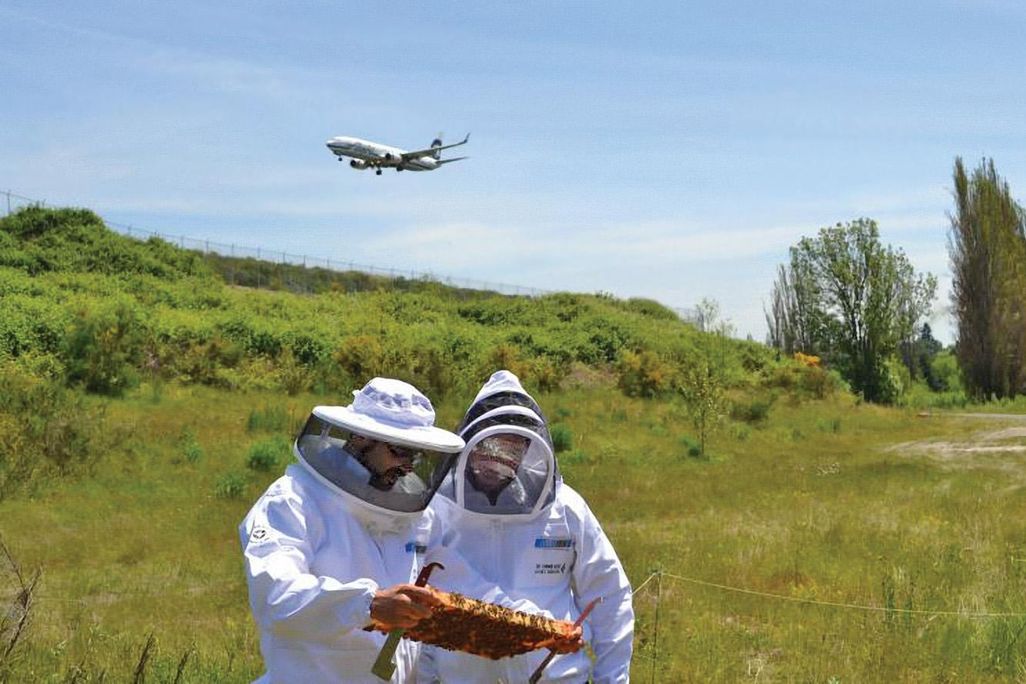 two beekeepers with plane overhead