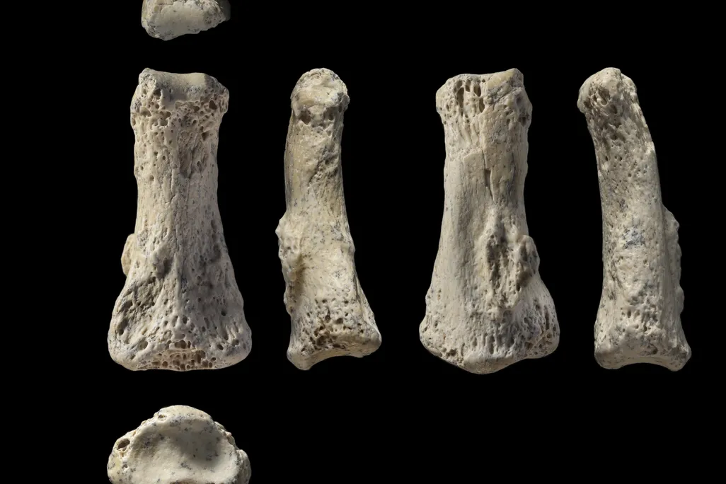 fingerbones.jpg