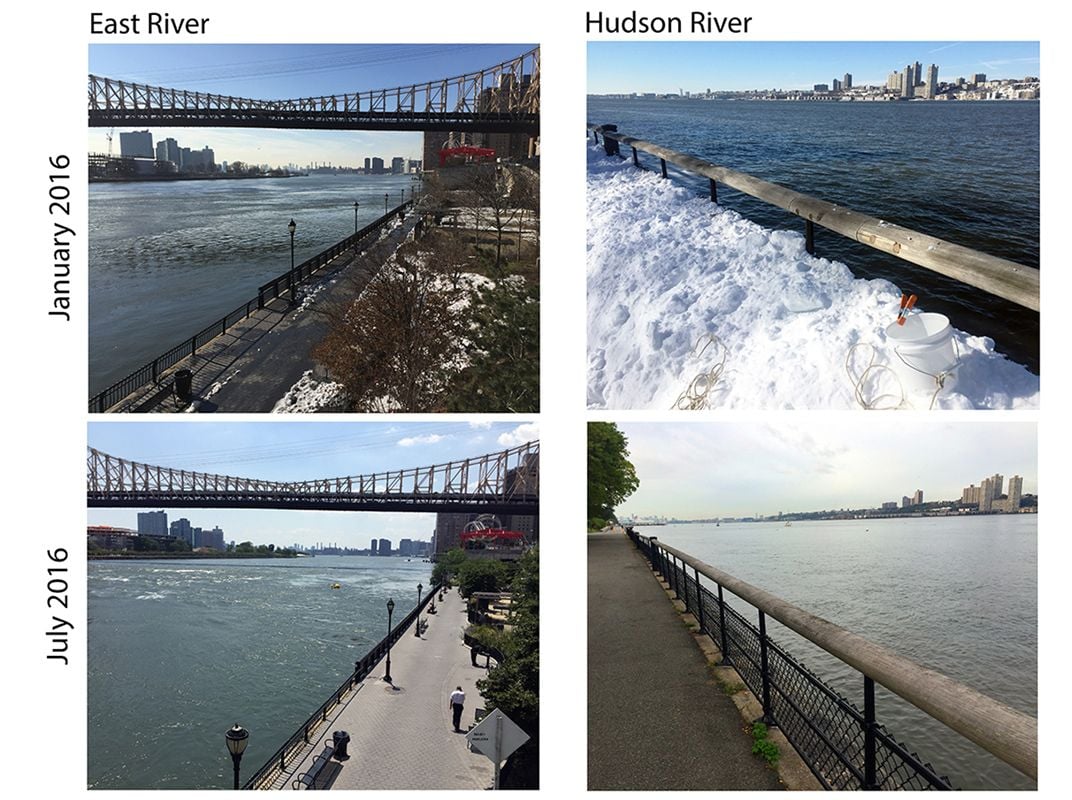 Study’s collection sites in Manhattan.