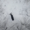 Watch Rare Drone Video of a Moose Shedding Its Antlers icon