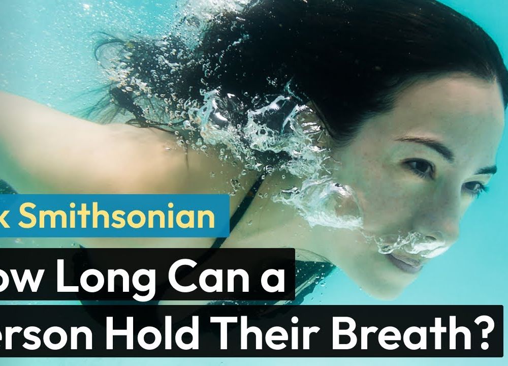 Preview thumbnail for video 'Ask Smithsonian: How Long Can a Person Hold Their Breath?