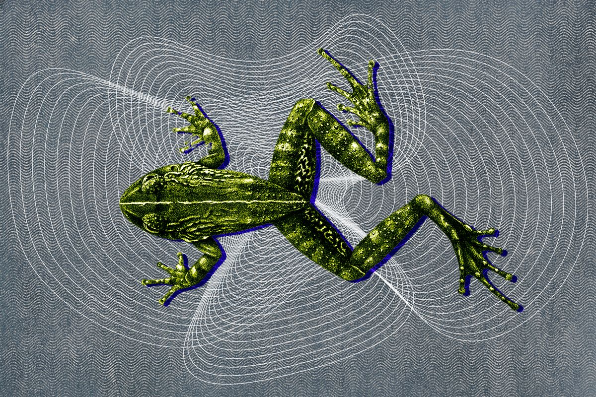 smithmag-frogsongs.jpg