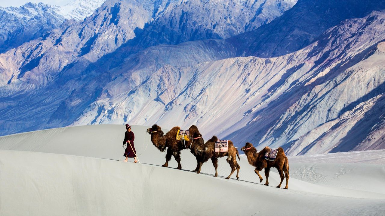 The Silk Road Never Really Existed