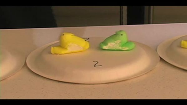 Preview thumbnail for A Peep Jousting Experiment