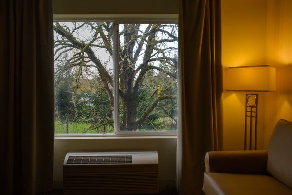 Window Tree Hotel thumbnail