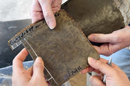 Researchers at Ohio State University have developed a technology for incorporating food waste into rubber.