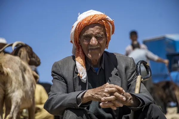 An old man waiting to buy and sell his goats thumbnail